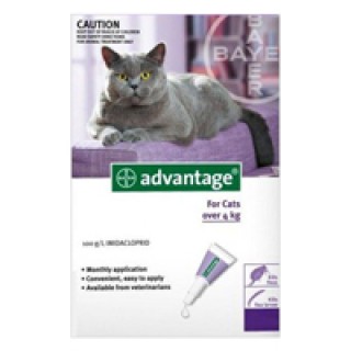Advantage Cats over 9lbs (Purple) 6 + 2 FREE