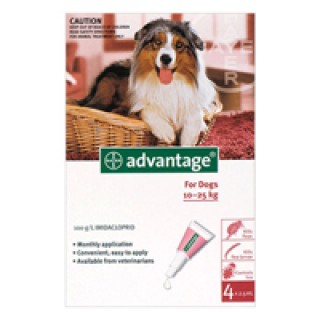 Advantage Large Dogs 21-55lbs (Red) 12 + 4 FREE