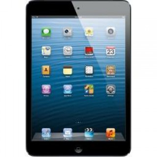 Apple iPad mini WiFi 16GB iOS 7.9" Tablet - Black / Space Gray