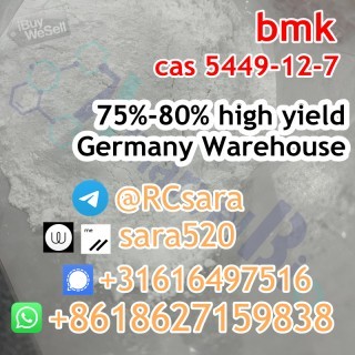 CAS 5449-12-7 BMK Glycidic Acid (sodium salt) hot in Netherlands/UK/Poland/Europe