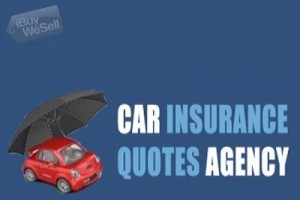 Cheap Car Insurance Orlando, Florida
