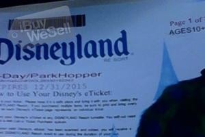 Disneyland park hoopers tickets