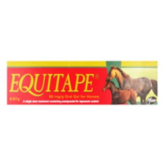 Equitape Horse Wormer Paste 6.67 gm 1 SYRINGE