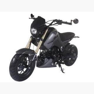 Fuerza 125 125cc Motorcycle