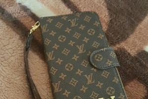 Louis Vuitton Credit Card and Cellphone case holder