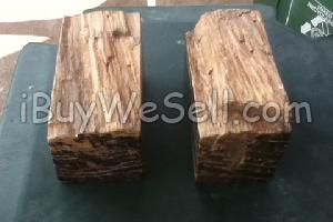 Petrified wood bookends