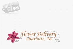 Smiths Flower Delivery Charlotte