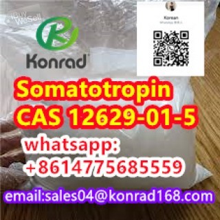 Somatotropin：CAS 12629-01-5 for sell