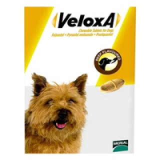 Veloxa Chewable Tablets for Dogs 2 PACK