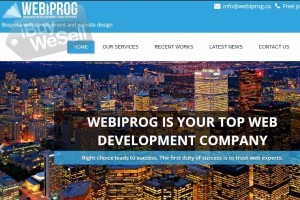 WebiProg is your partner for business growth
