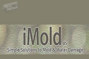 iMold US Water Damage & Mold Removal Service Naples