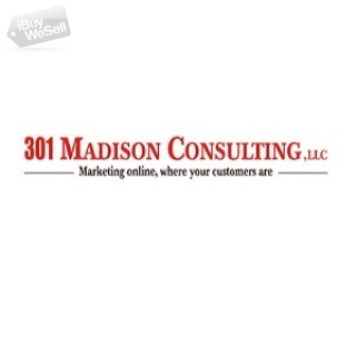 301 Madison Consulting, LLC