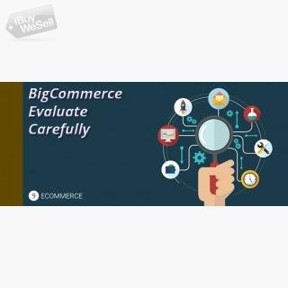 5 Things About BigCommerce That You Should Carefully Evaluate