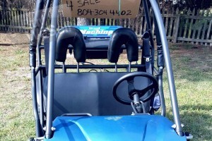 ADULT SIZED HAMMERHEAD BUGGY WITH THE TITLE EXCELLENT CONDITION
