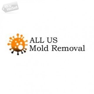 ALL US Mold Removal & Remediation Arlington TX