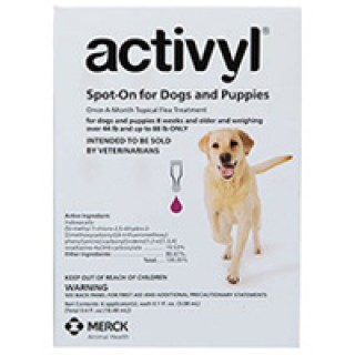 Activyl For Large Dogs 44 – 88 lbs Purple 4 PACK