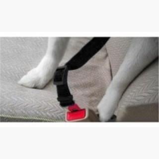 Adjustable Pet Car Seat Belt Leashes