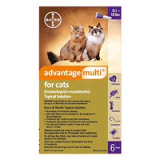 Advantage Multi (Advocate) Cats over 10lbs (Purple) 12 DOSES