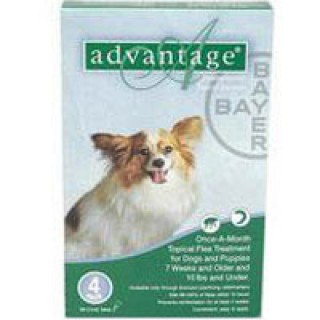Advantage Small Dogs/ Pups 1-10lbs (Green) 12 + 4 Free Doses