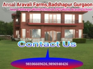 Aravali Retreat farmhouses
