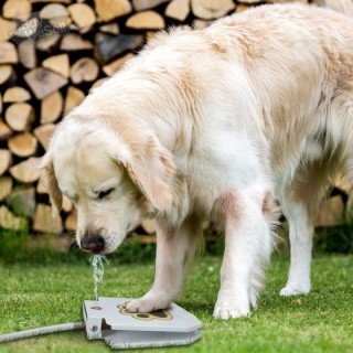Automatic Dog Water Fountain
