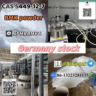 BMK Glycidic Acid (sodium salt) CAS 5449-12-7 99% white powder