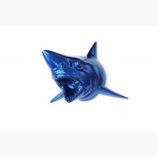 Blue Shark Wall Mount - Faux Taxidermy Sh14