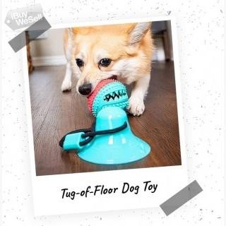 Buy Tug of Floor Dog Toy