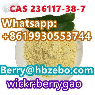 CAS 236117-38-7