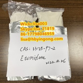 CAS 33125-97-2  Etomidate Powder Etomidate