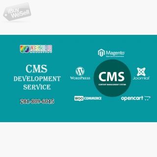 CMS development Service TX