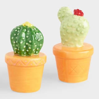 Cactus Ceramic Salt and Pepper Shaker Set by World Market