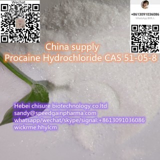 China supply Procaine59-46-1 Procaine Hcl 51-05-8,whatsapp:+ Contact me 