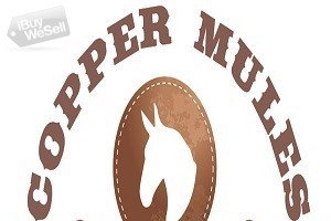 Copper Mules