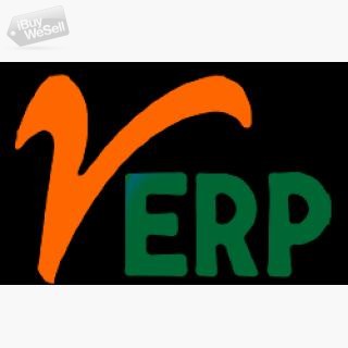 ERP development companies by verp