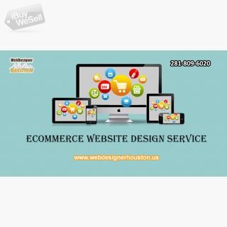 Ecommerce Website Design service houston