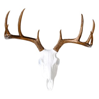 Faux Taxidermy - White Deer Skull - Bronze Antlers - Wall Mount Bs0109