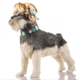 Funny Pet Curly Hair Costume Wig Pet Headwear - Style E