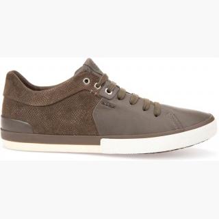 Geox SMART : TAUPE - Mens