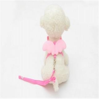 Little Angel Pet Chest Strap Pet Leash Rope Pet Chest Strap Traction Rope