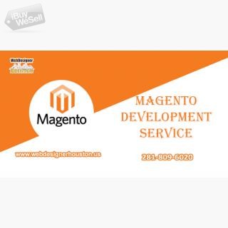 Magento development Service houston