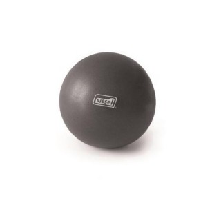 Mettler Electronics 310.034, Metallic Grey 22 cm Pilates Ball