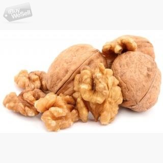 Nuts Pack a Punch, Munch them sure for Sound Health