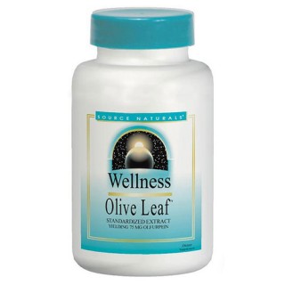 Olive Leaf Extract (Wellness) 500mg 60 tabs from Source Naturals