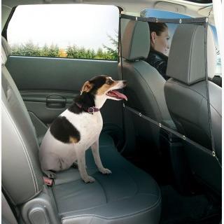 Pet Parade Vehicle Pet Safety Net