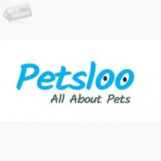 Post Your Pet Classified for FREE Today