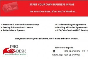 Professional to assist you with your New Business start up in Dubai