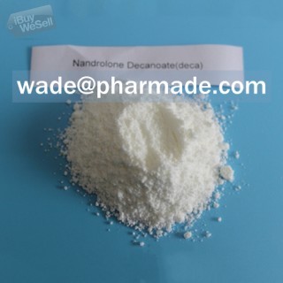 Shop Nandrolone Decanoate Powder China