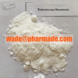 Shop Testosterone Decanoate Powder China