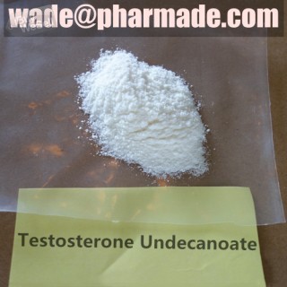 Shop Testosterone Undecanoate Powder China